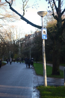 people walking in vondelpark