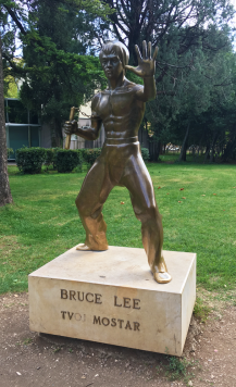 bruce lee small